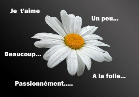 AmOuR